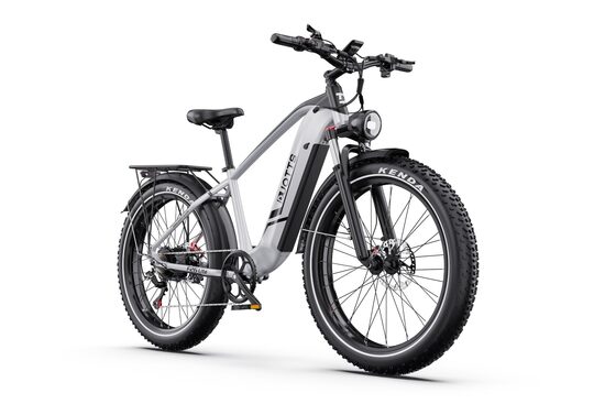 DUOTTS F26 Lite Elektriskais velosipēds, 26x4" Off-road, 960W, 48V 18Ah