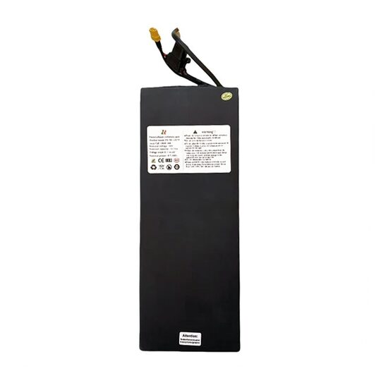 Engwe Y600 akumulators, 48V 18.2Ah