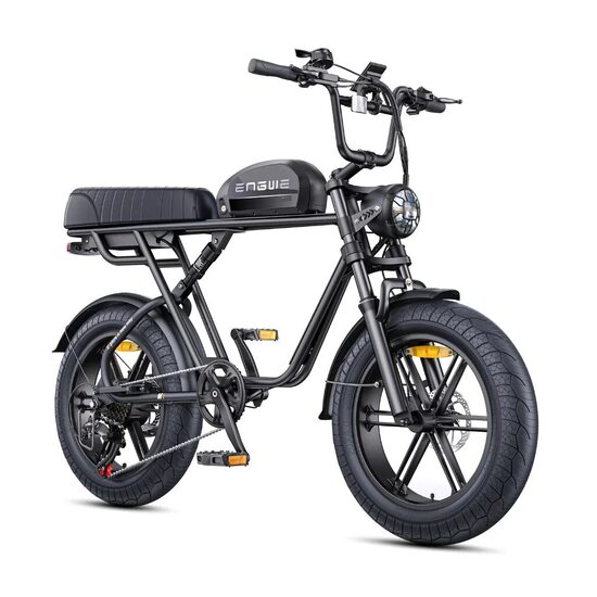 ENGWE M1 Single Электрический велосипед с 1 батарей, 15.6Ah, 65Nm, 20x4" Off-road