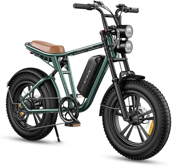 ENGWE M20 Single Электрический велосипед с 13Ah батареей, 20x4" Off-road, 750W, 55Nm, Shimano 7